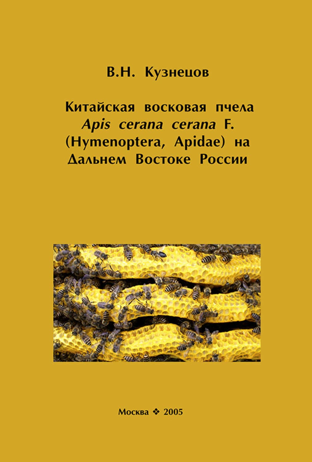 Обложка книги «Китайская восковая пчела Apis cerana cerana F. (Hymenoptera, Apidae) на Дальнем Востоке России» — В. Г. Кузнецов