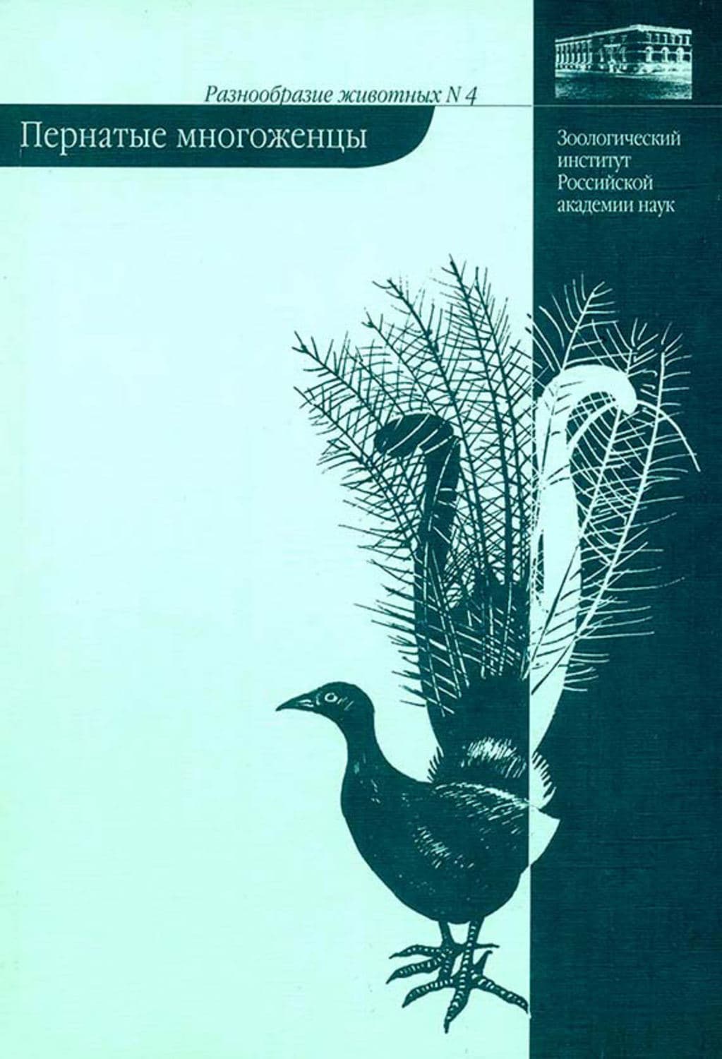 Обложка книги «Пернатые многоженцы» — В. А. Паевский