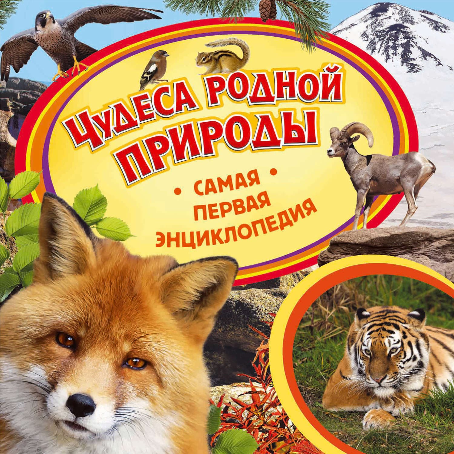 Обложка книги «Чудеса родной природы» — Ирина Травина
