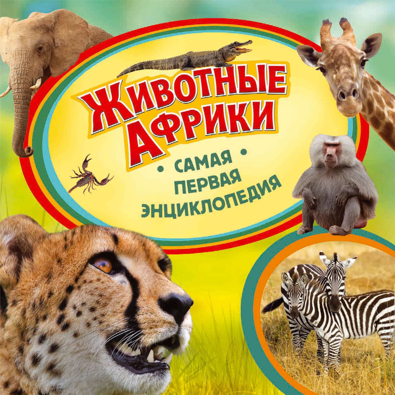 Обложка книги «Животные Африки» — Ирина Травина