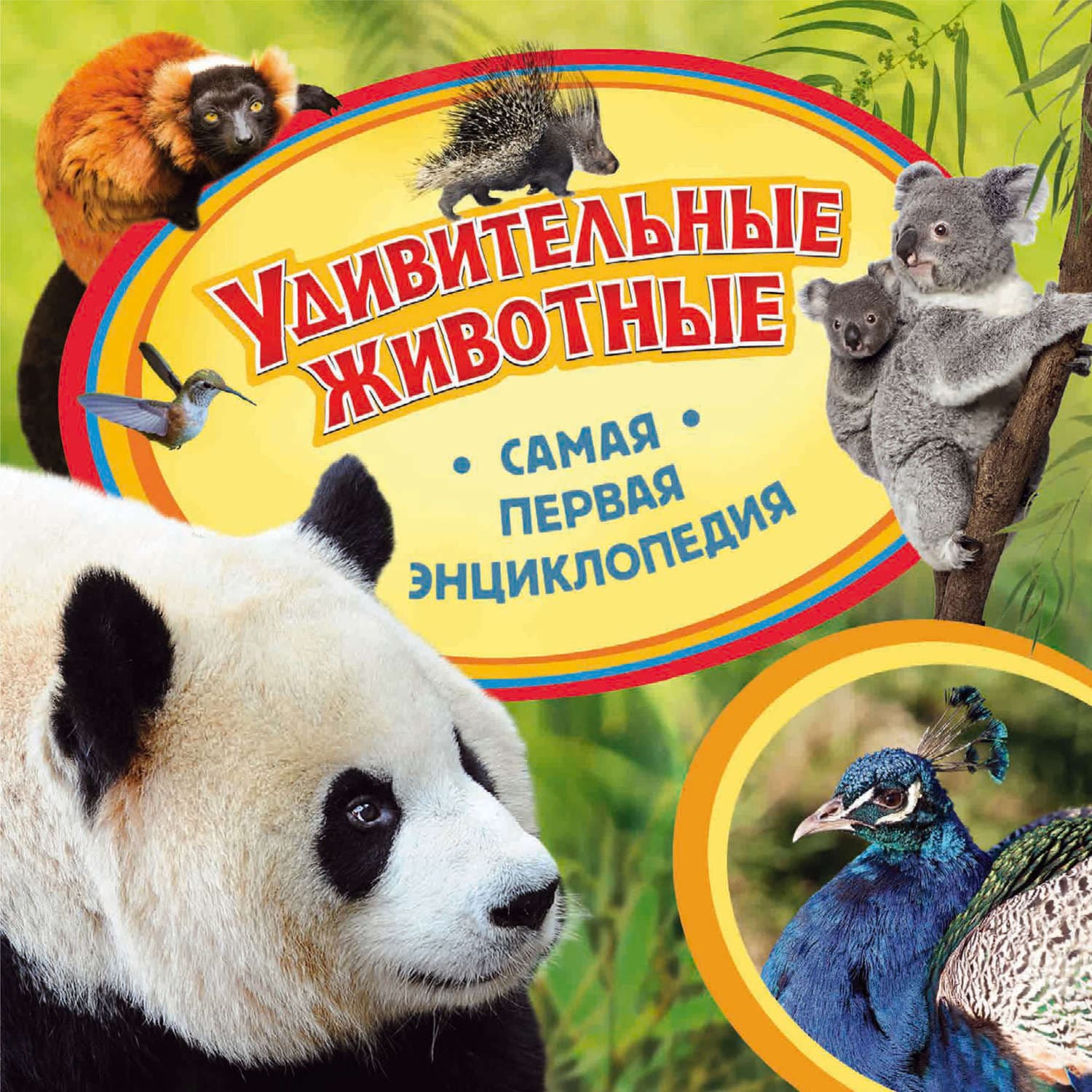 Обложка книги «Удивительные животные» — Автор неизвестен