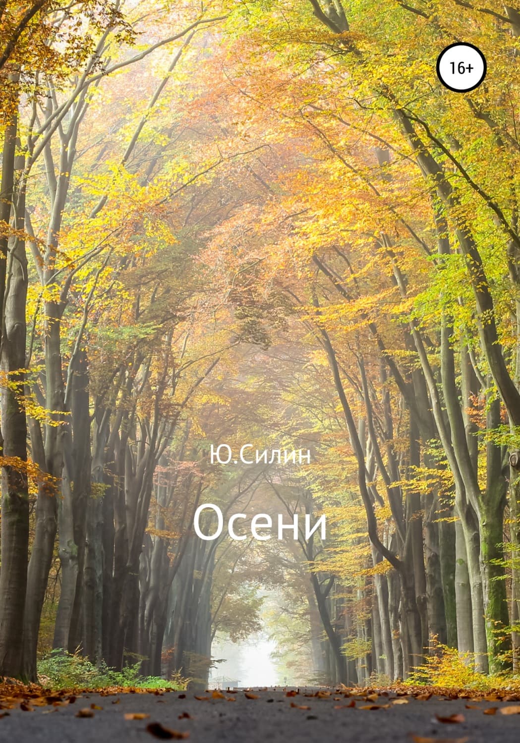 Обложка книги «Осени» — Маша Трауб, Ю. Силин