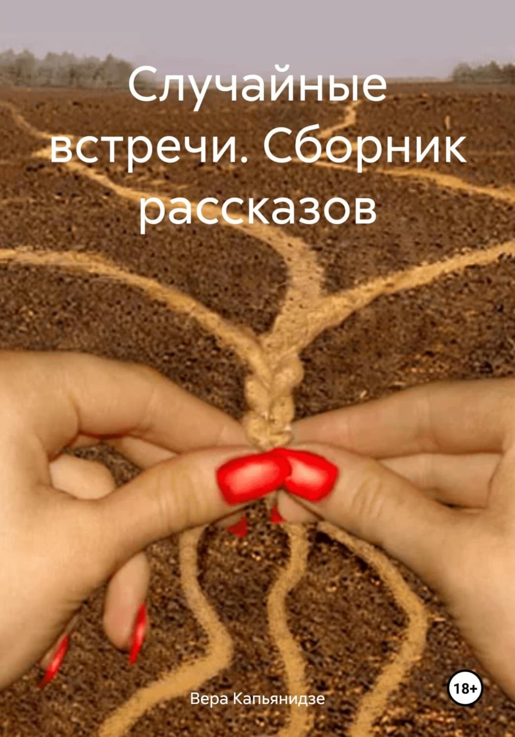 Обложка книги «Случайные встречи. Сборник рассказов» — Вера Колочкова, Вера Капьянидзе