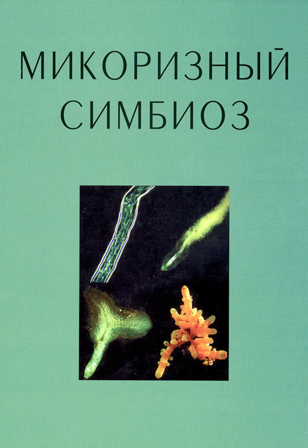 Обложка книги «Микоризный симбиоз» — Свен Смит