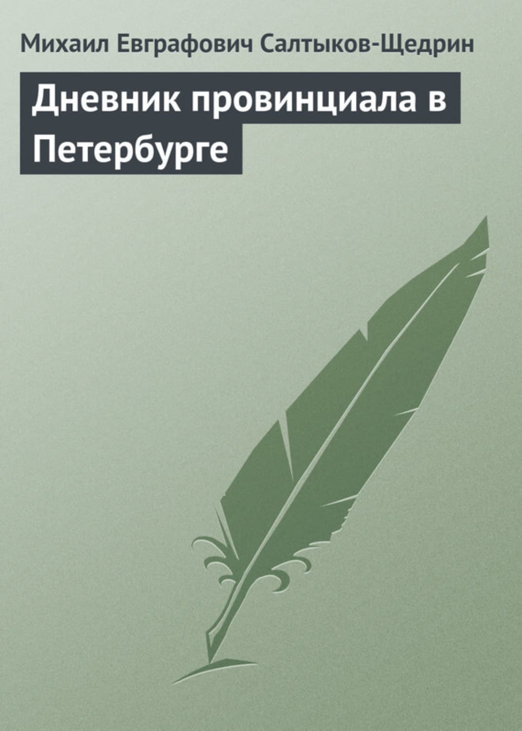 Обложка книги «Дневник провинциала в Петербурге» — Михаил Салтыков-Щедрин
