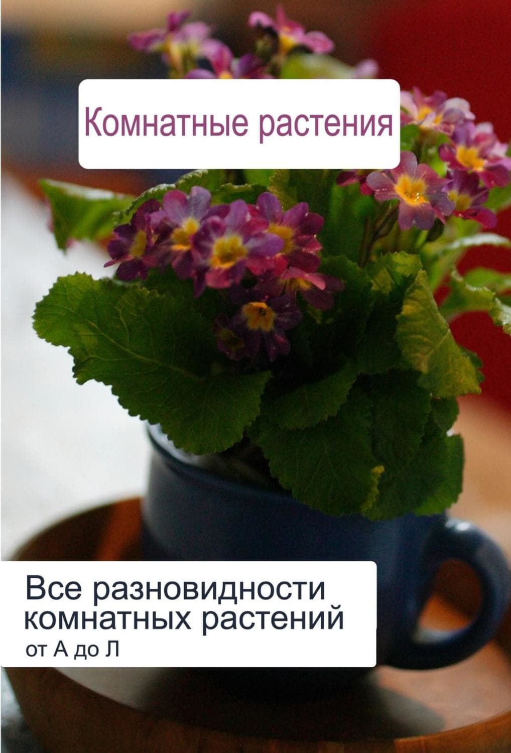 Обложка книги «Все разновидности комнатных растений (от А до Л)» — И. В. Мельников