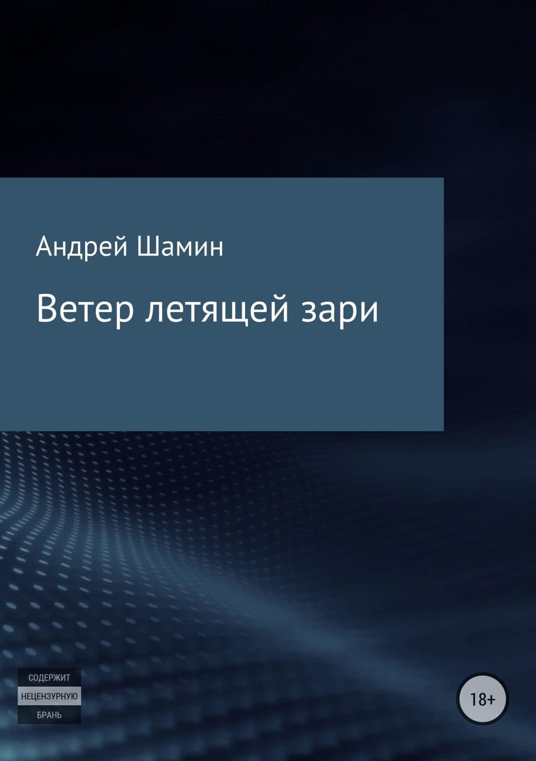 Обложка книги «Ветер летящей зари» — Андрей Шамин, Ники Сью