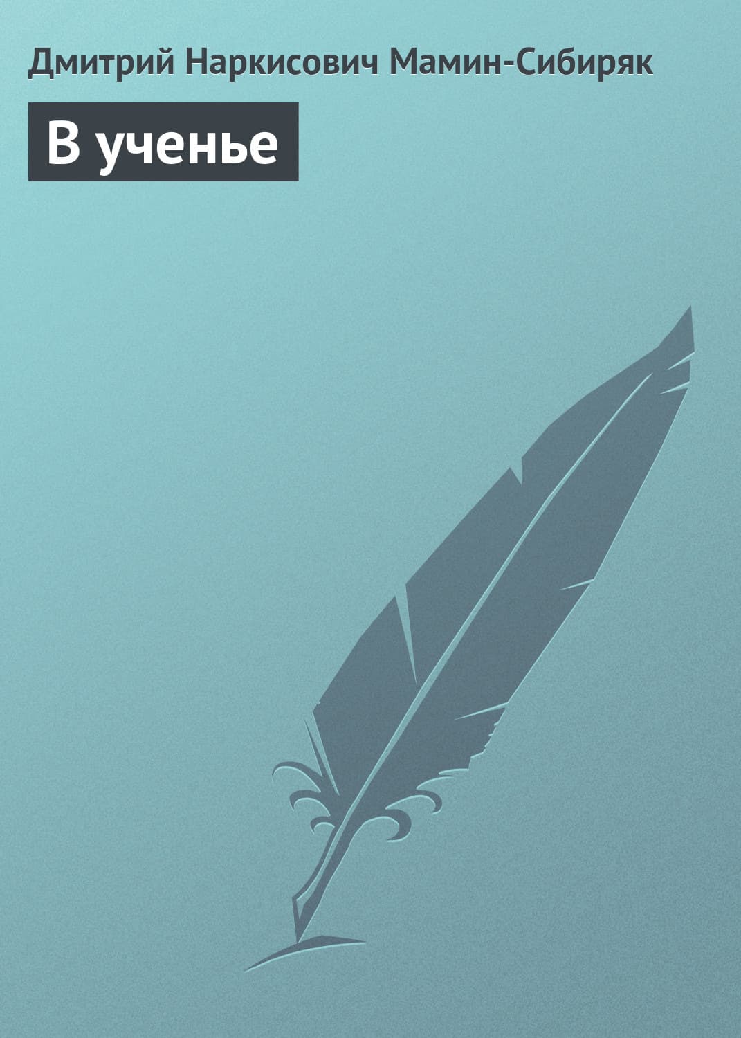 Обложка книги «В ученье» — Анна и. Сергей Литвиновы, Дмитрий Мамин-Сибиряк