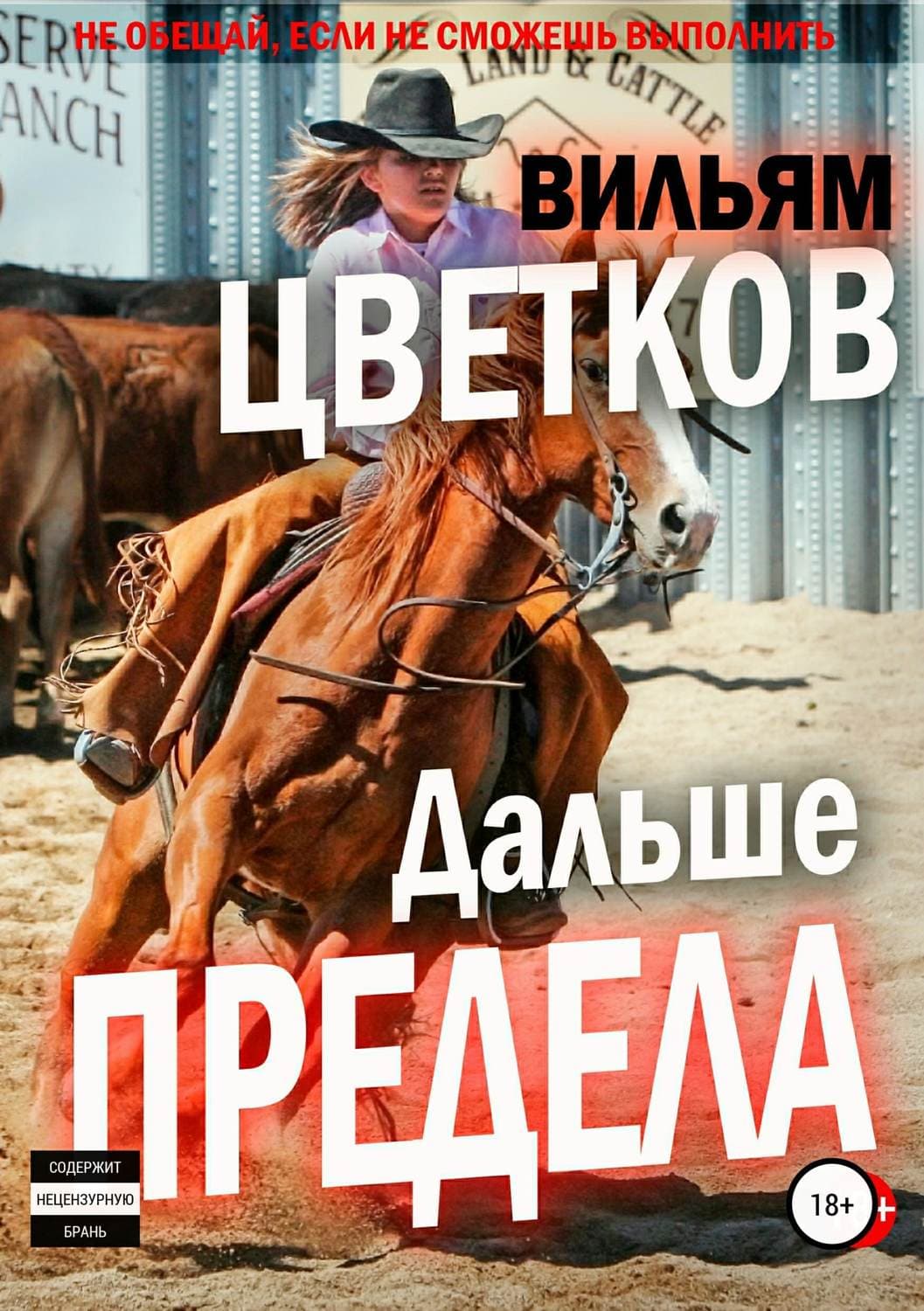 Обложка книги «Дальше предела» — Владимир Цветков