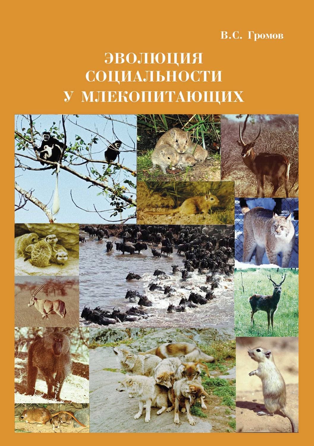Обложка книги «Эволюция социальности у млекопитающих» — Вадим Громов