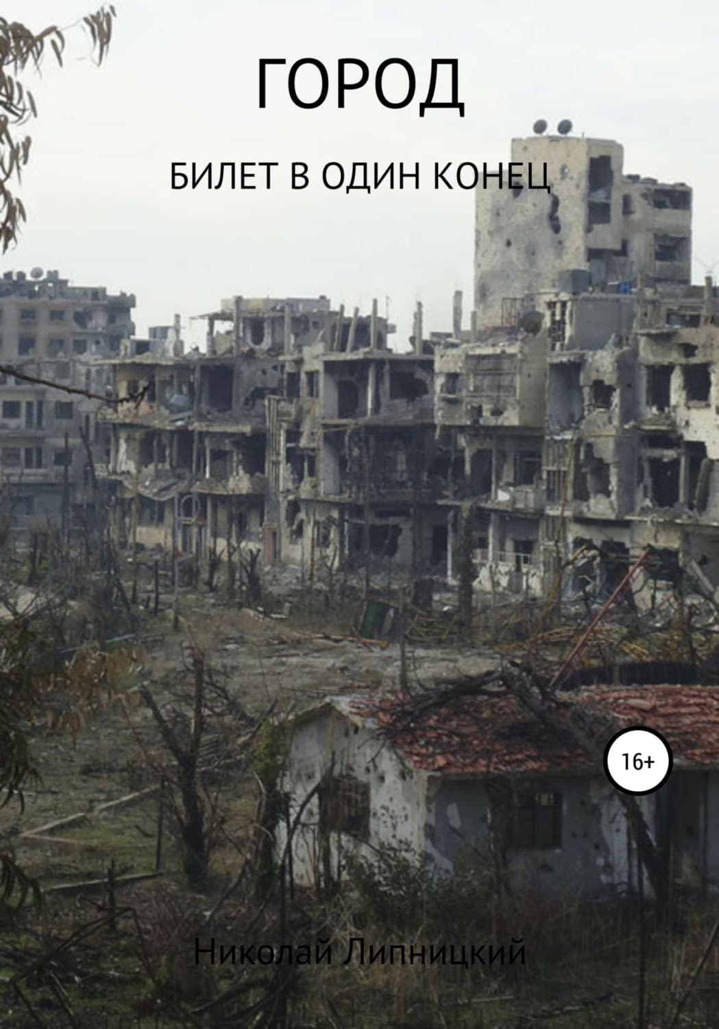 Обложка книги «Город. Билет в один конец» — Николай Липницкий