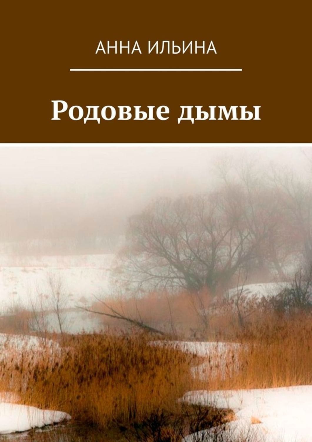Обложка книги «Родовые дымы. Книга стихов» — Александра Ильина