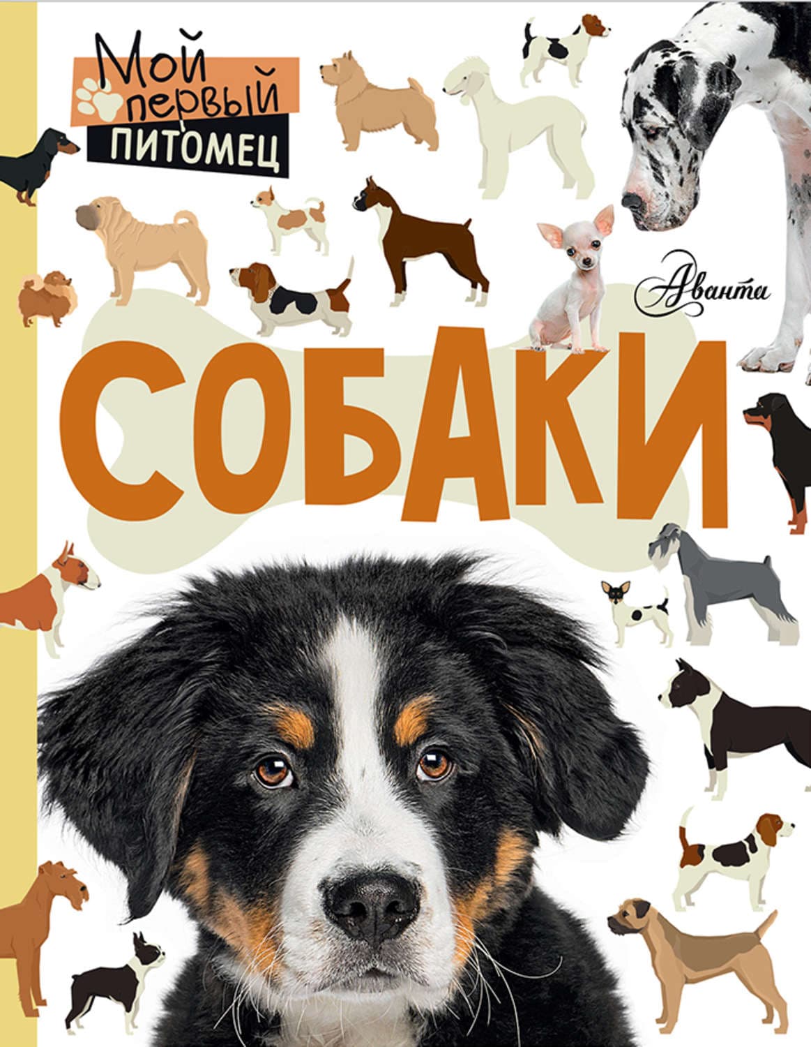 Обложка книги «Собаки» — Ангелина Крылова