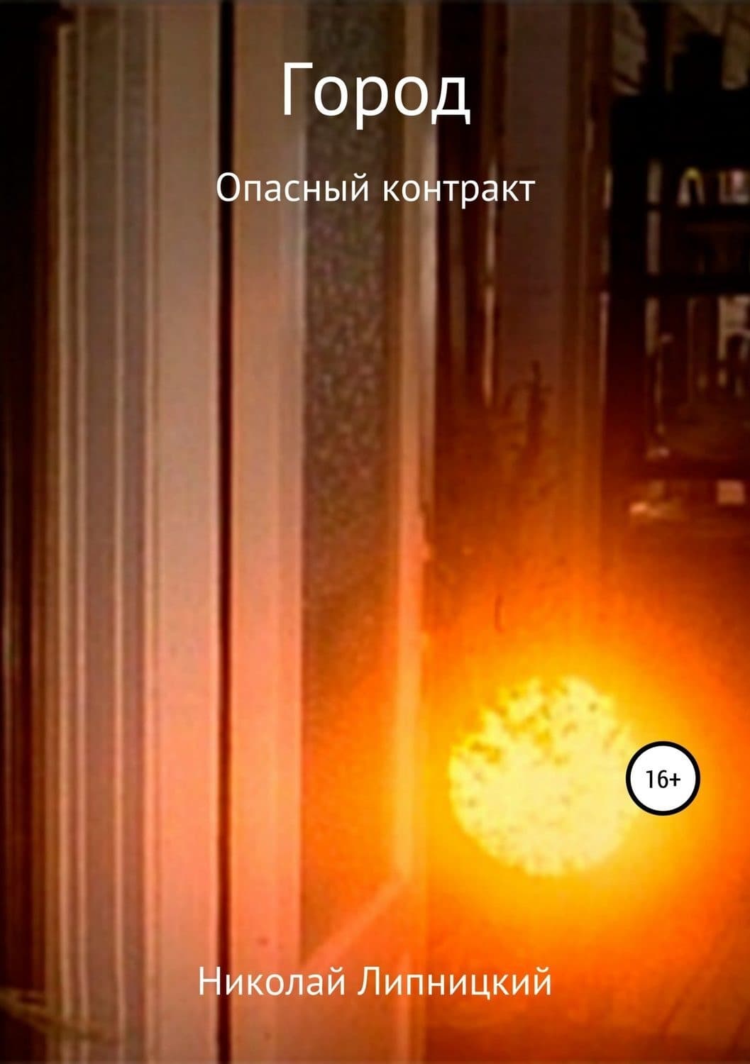 Обложка книги «Город. Опасный контракт» — Николай Липницкий
