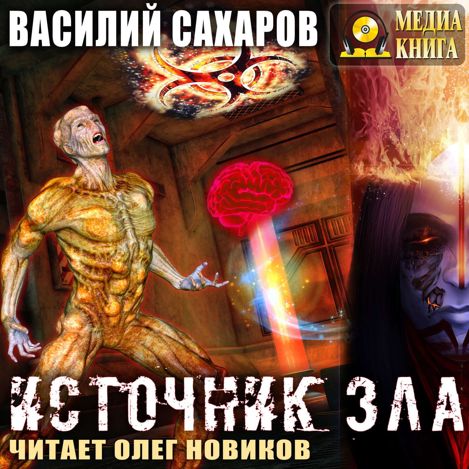 Обложка книги «Источник зла» — Василий Сахаров