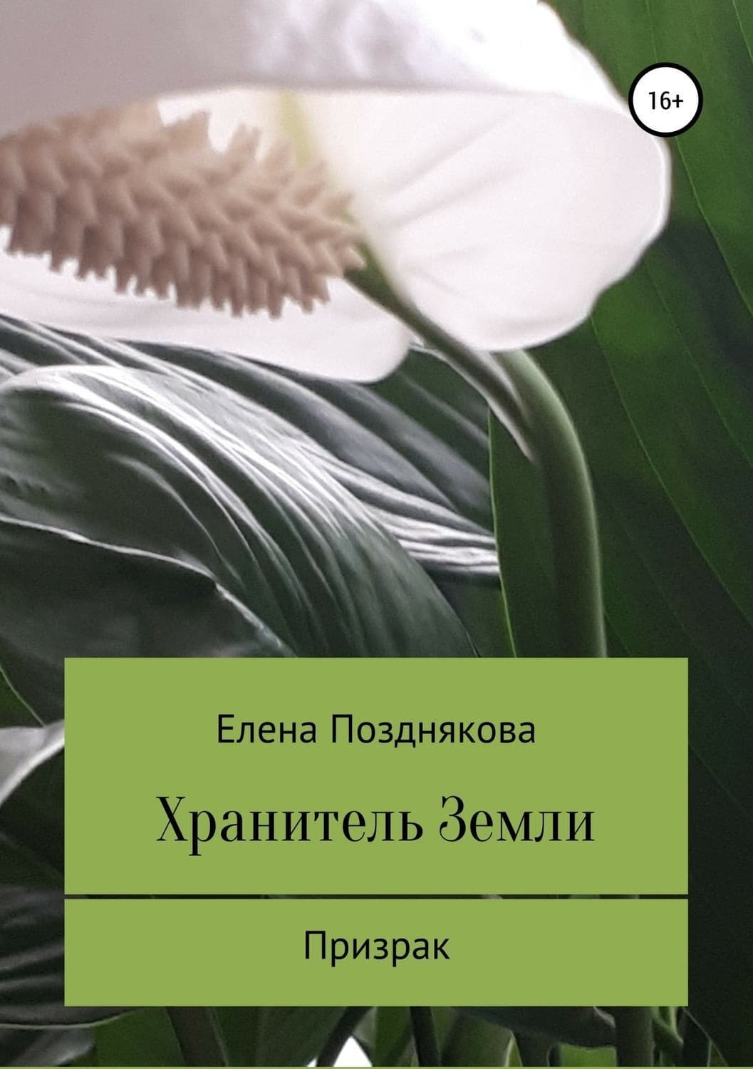 Обложка книги «Хранитель Земли» — Елена Позднякова