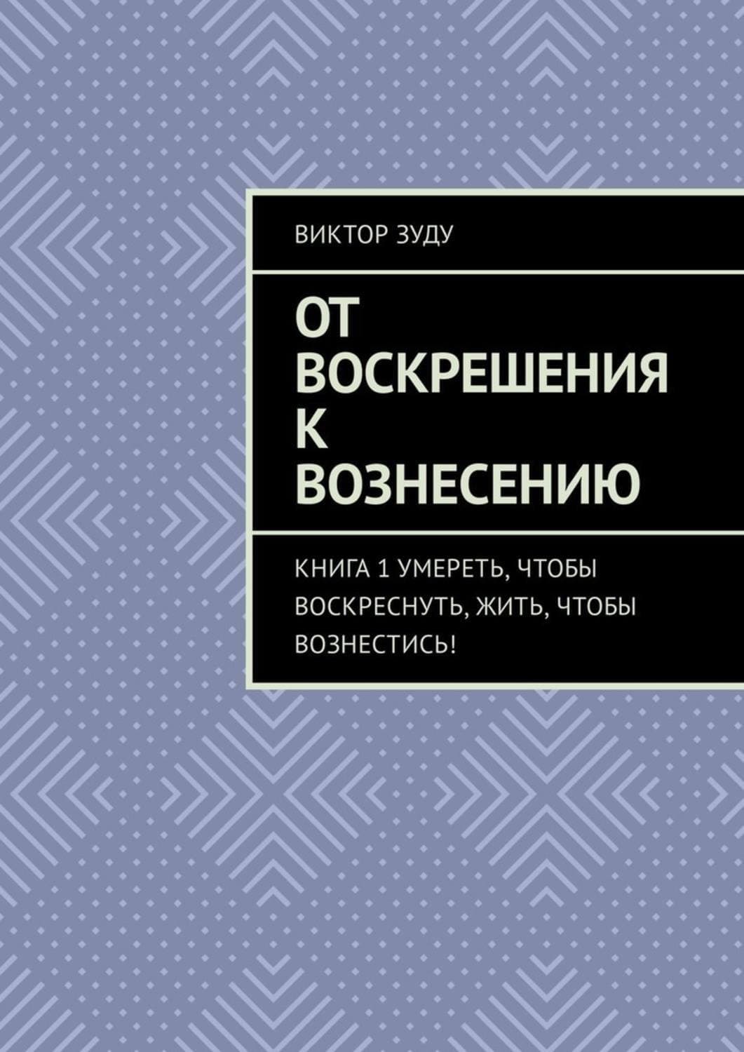 Обложка книги «От воскрешения к вознесению. Книга 1. Умереть, чтобы воскреснуть, жить, чтобы вознестись!» — Виктор Зуду