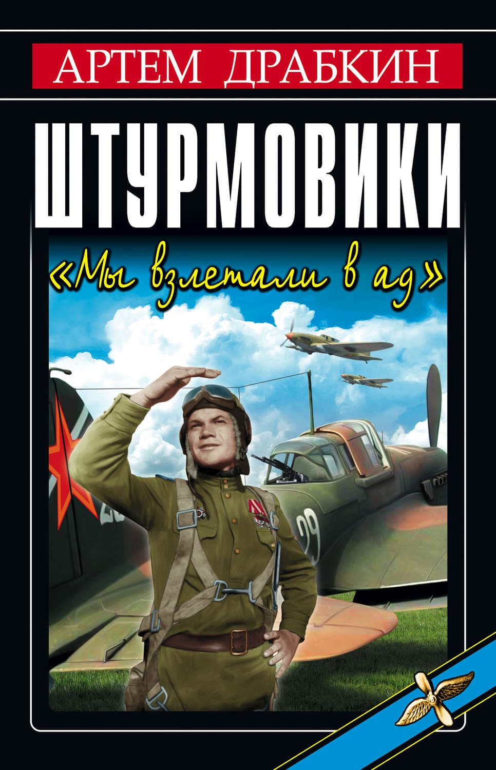 Обложка книги «Штурмовики. «Мы взлетали в ад»» — Артем Драбкин