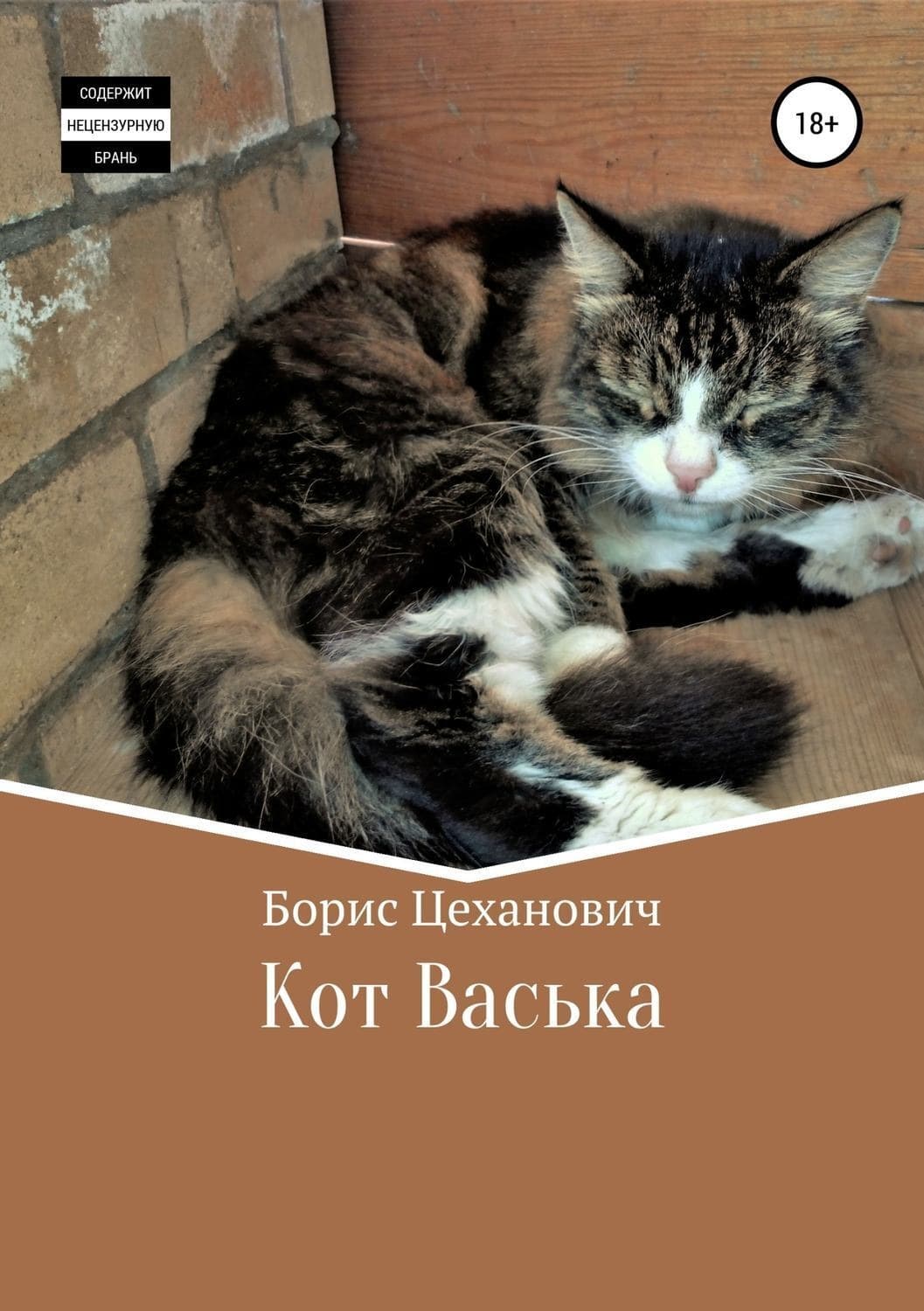 Обложка книги «Кот Васька» — Борис Цеханович