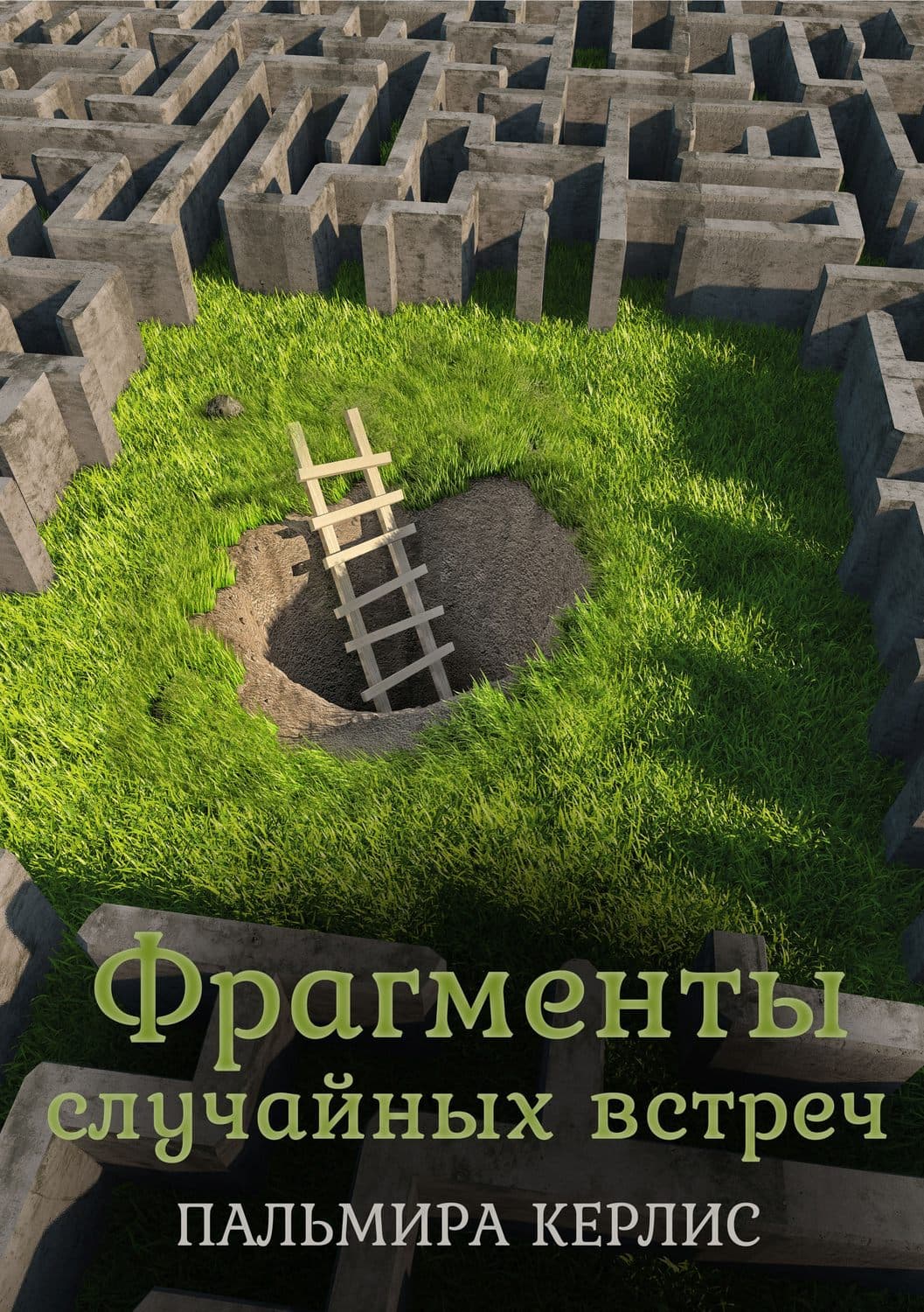 Обложка книги «Фрагменты случайных встреч» — Пальмира Керлис, Айдар Вафин