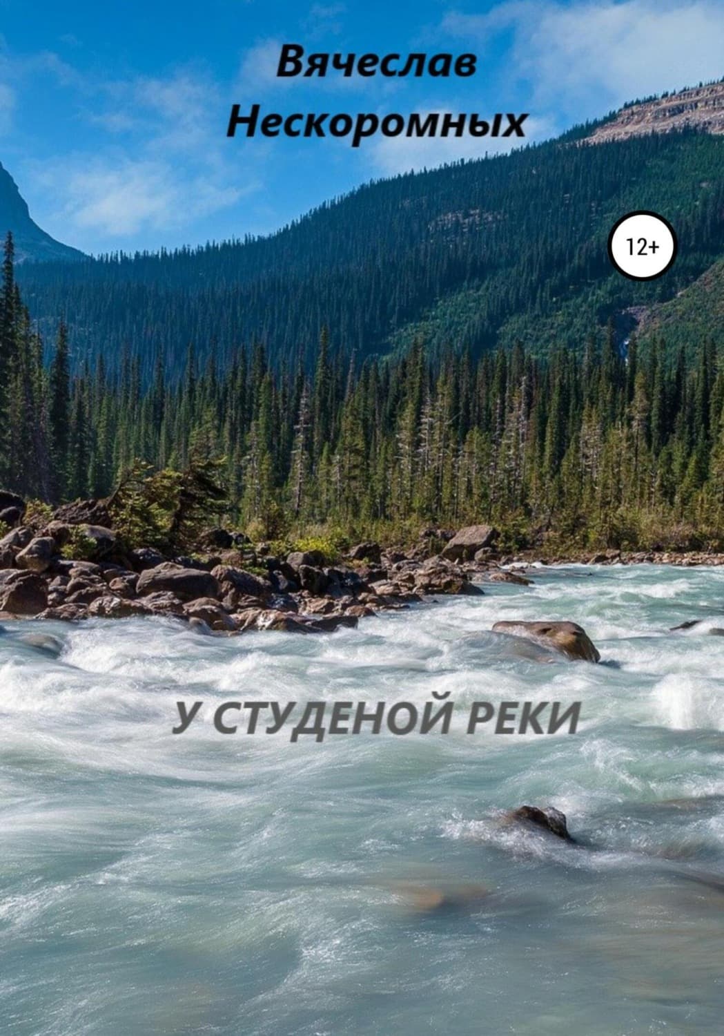 Обложка книги «У студёной реки» — Вячеслав Нескоромных