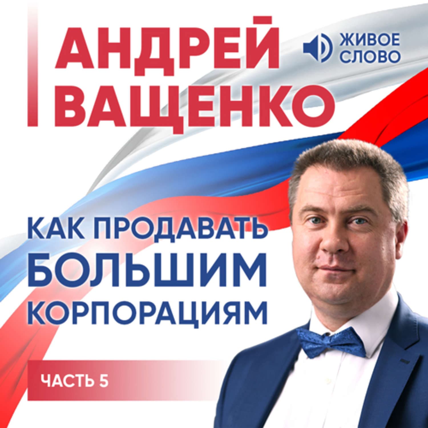 Обложка книги «Как продавать большим корпорациям. Часть 5» — Арсений Ващенко