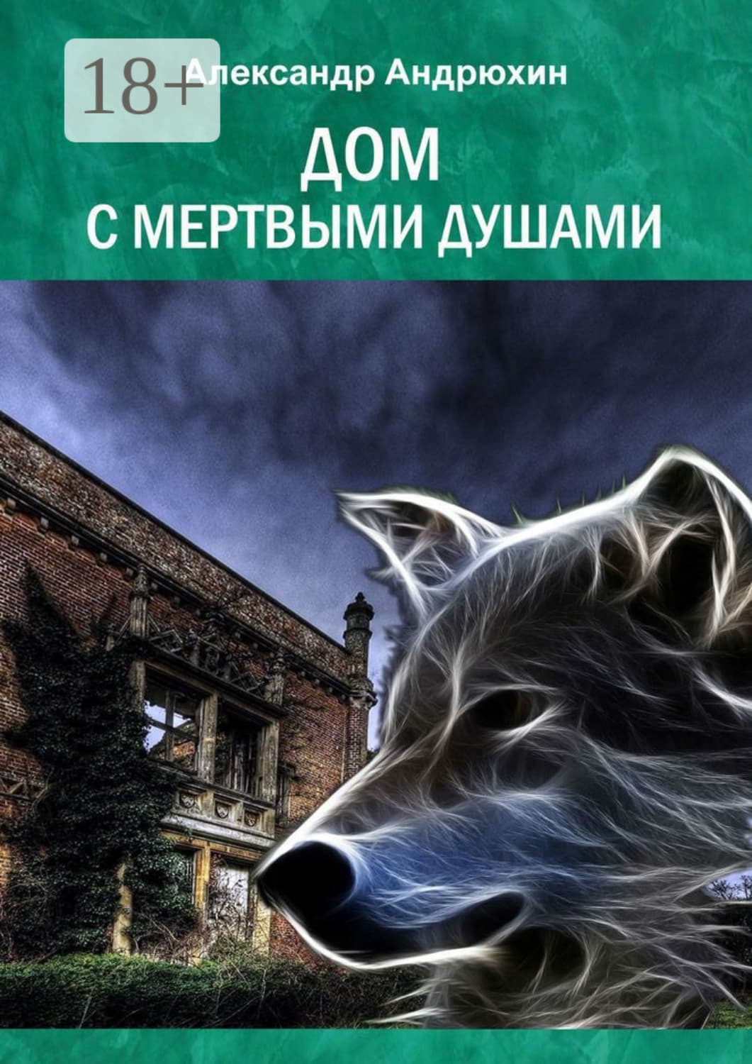 Обложка книги «Дом с мертвыми душами» — Александр Андрюхин
