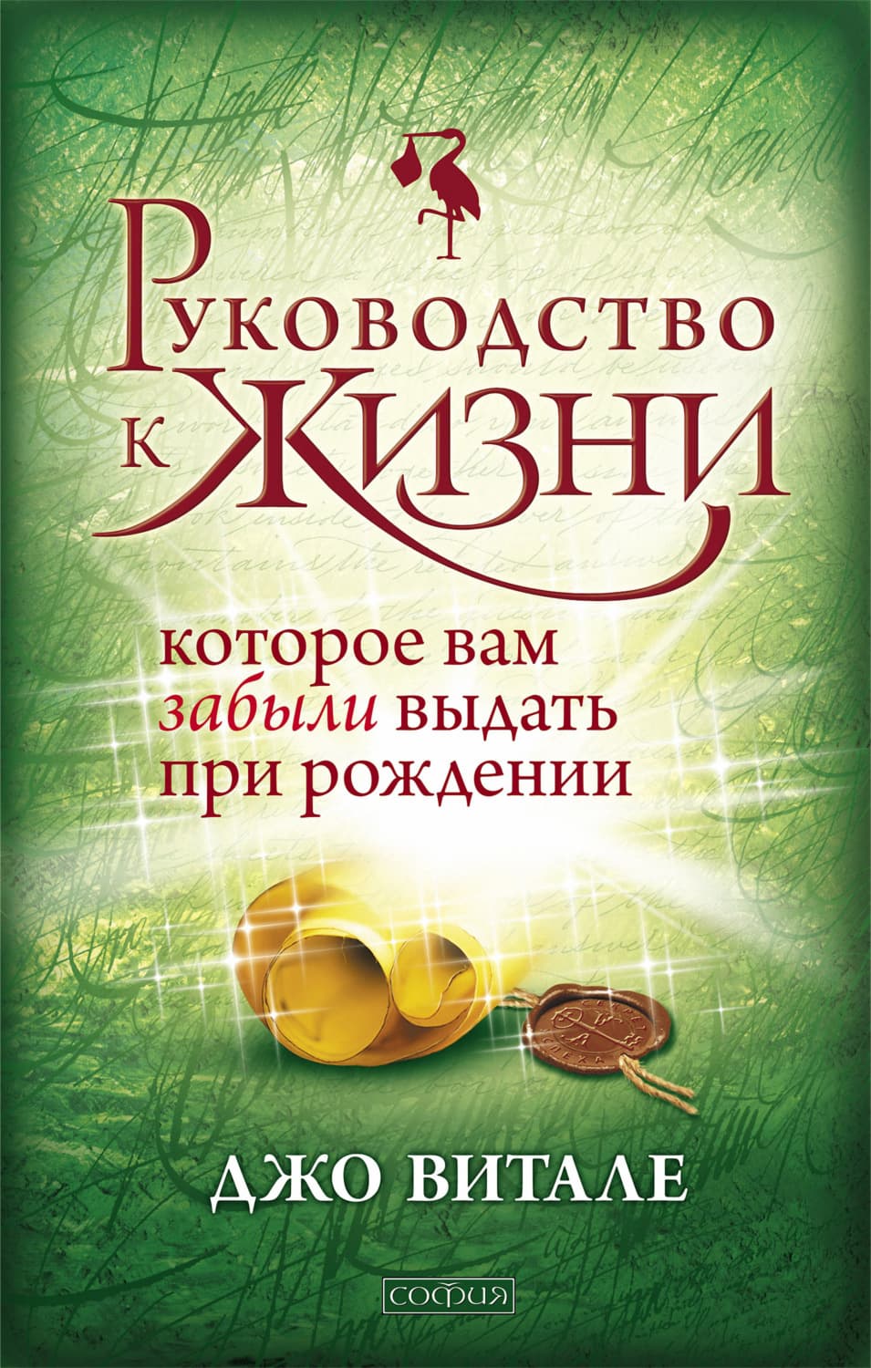 Обложка книги «Руководство к жизни, которое вам забыли выдать при рождении» — Джо Витале