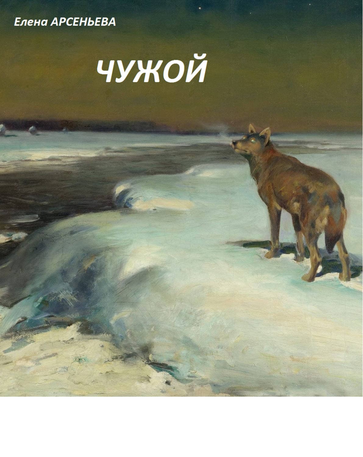 Обложка книги «Чужой» — Елена Арсеньева, Алекс Анжело