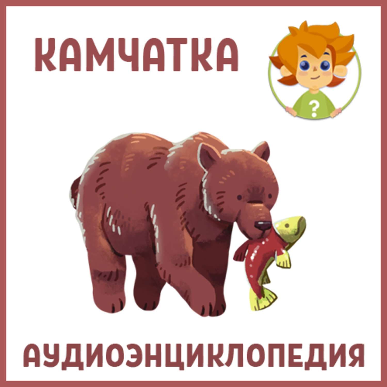 Обложка книги «Камчатка» — Нарине Айгистова