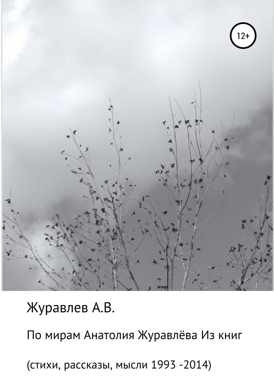 Обложка книги «По мирам Анатолия Журавлева» — Александр Журавлев, Эйми Картер