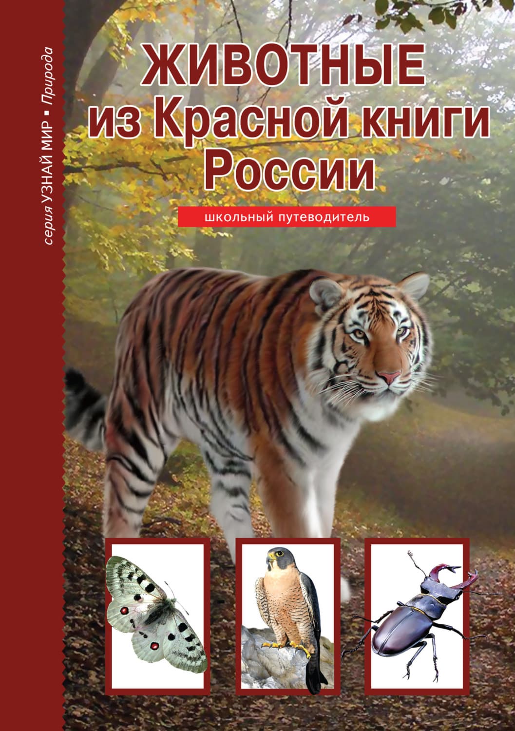 Обложка книги «Животные из Красной книги России» — Юлия Дунаева