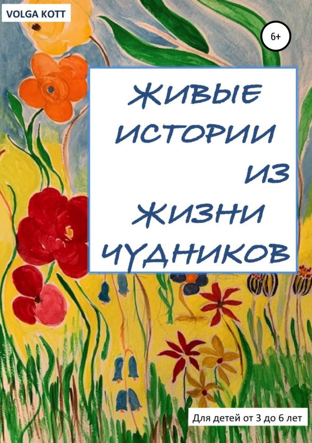 Обложка книги «Живые истории из жизни чудников» — Волга Котт