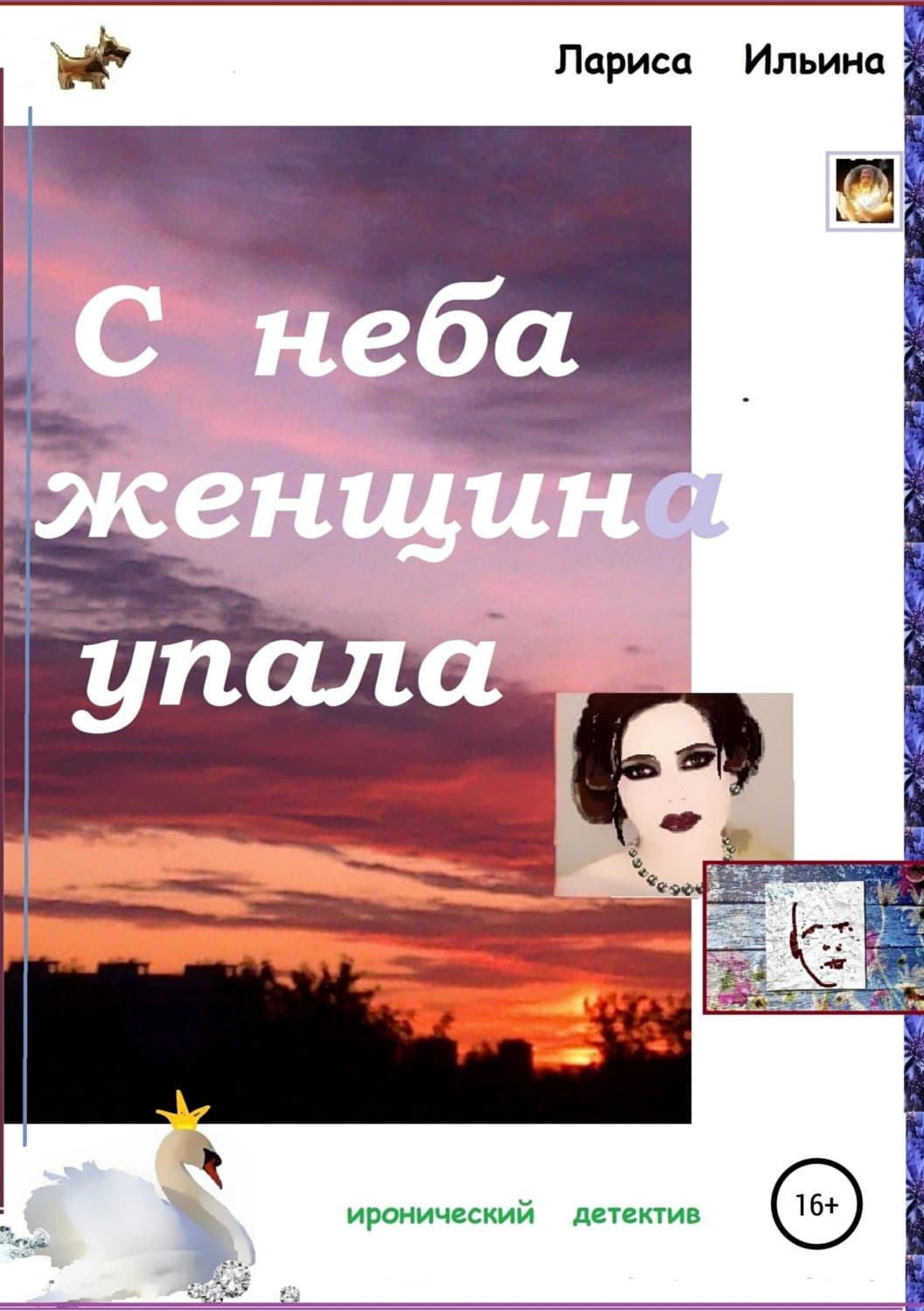 Обложка книги «С неба женщина упала» — Лариса Ильина