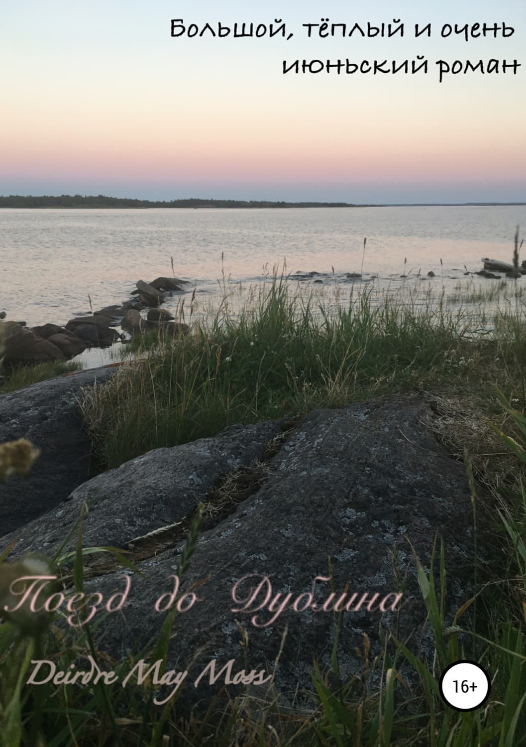 Обложка книги «Поезд до Дублина» — Дуглас Мосс
