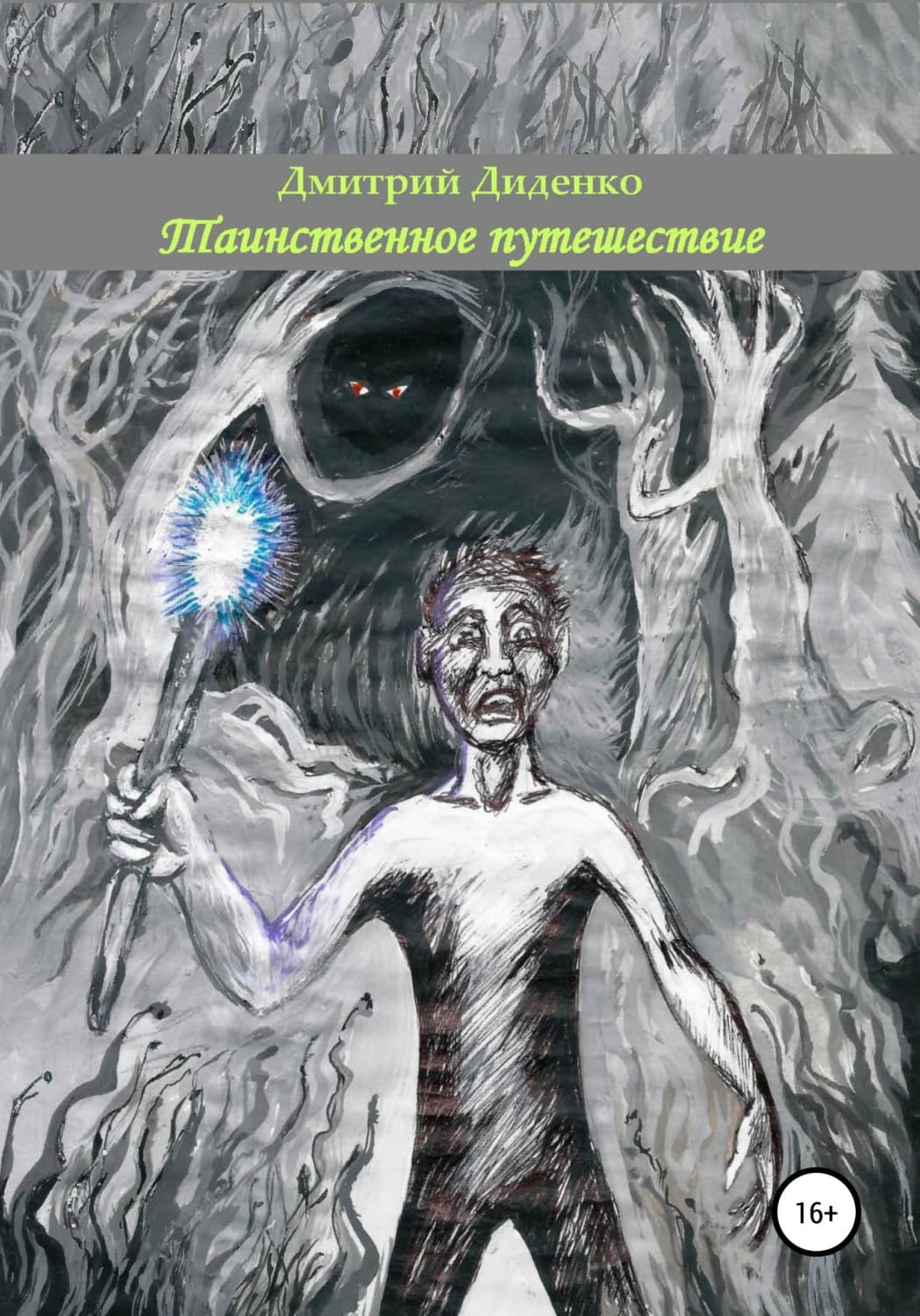 Обложка книги «Таинственное путешествие» — Ирина Градова, Д. В. Диденко