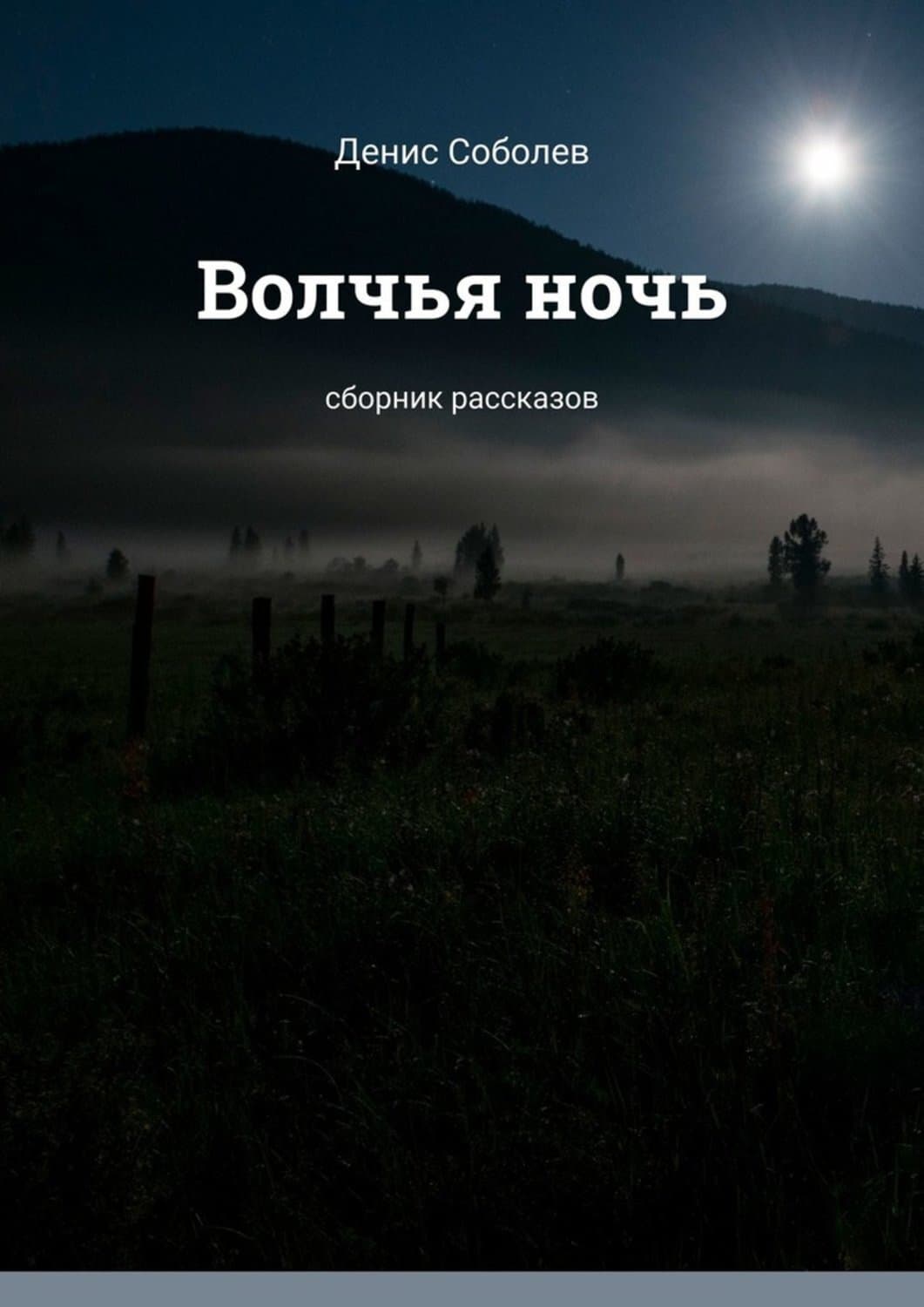 Обложка книги «Волчья ночь. Сборник рассказов» — Денис Соболев