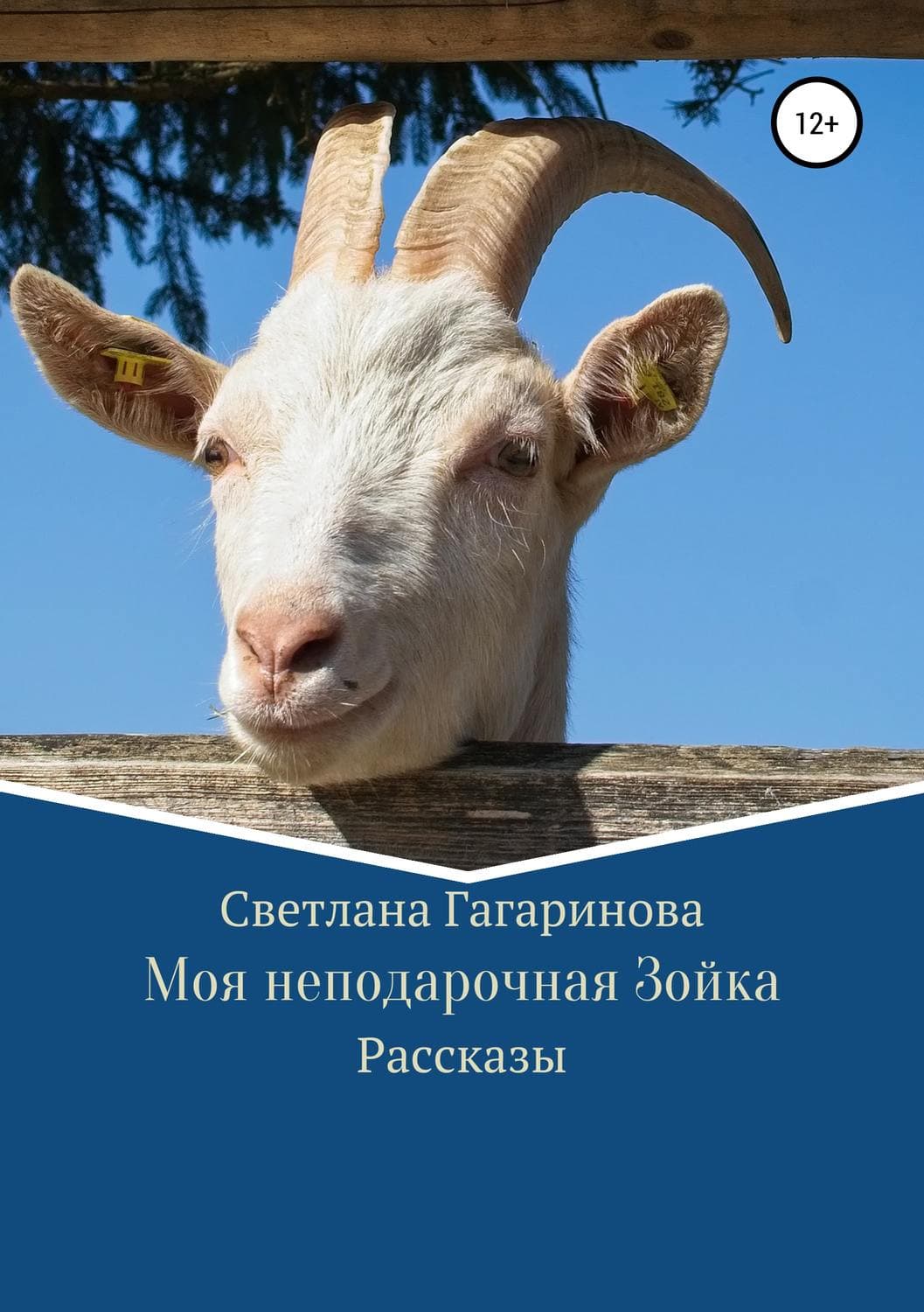 Обложка книги «Моя неподарочная Зойка» — Светлана Гагаринова, Мел Хартман