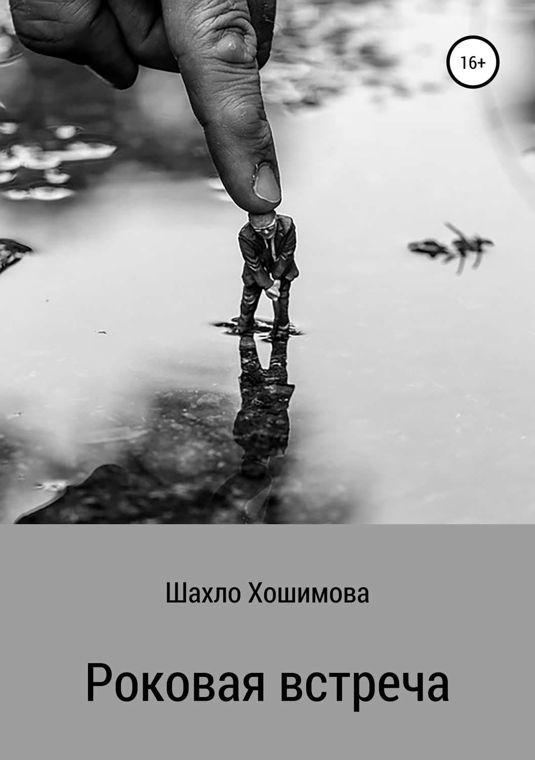 Обложка книги «Роковая встреча» — Эми Ньюмарк, Шахло Хошимова