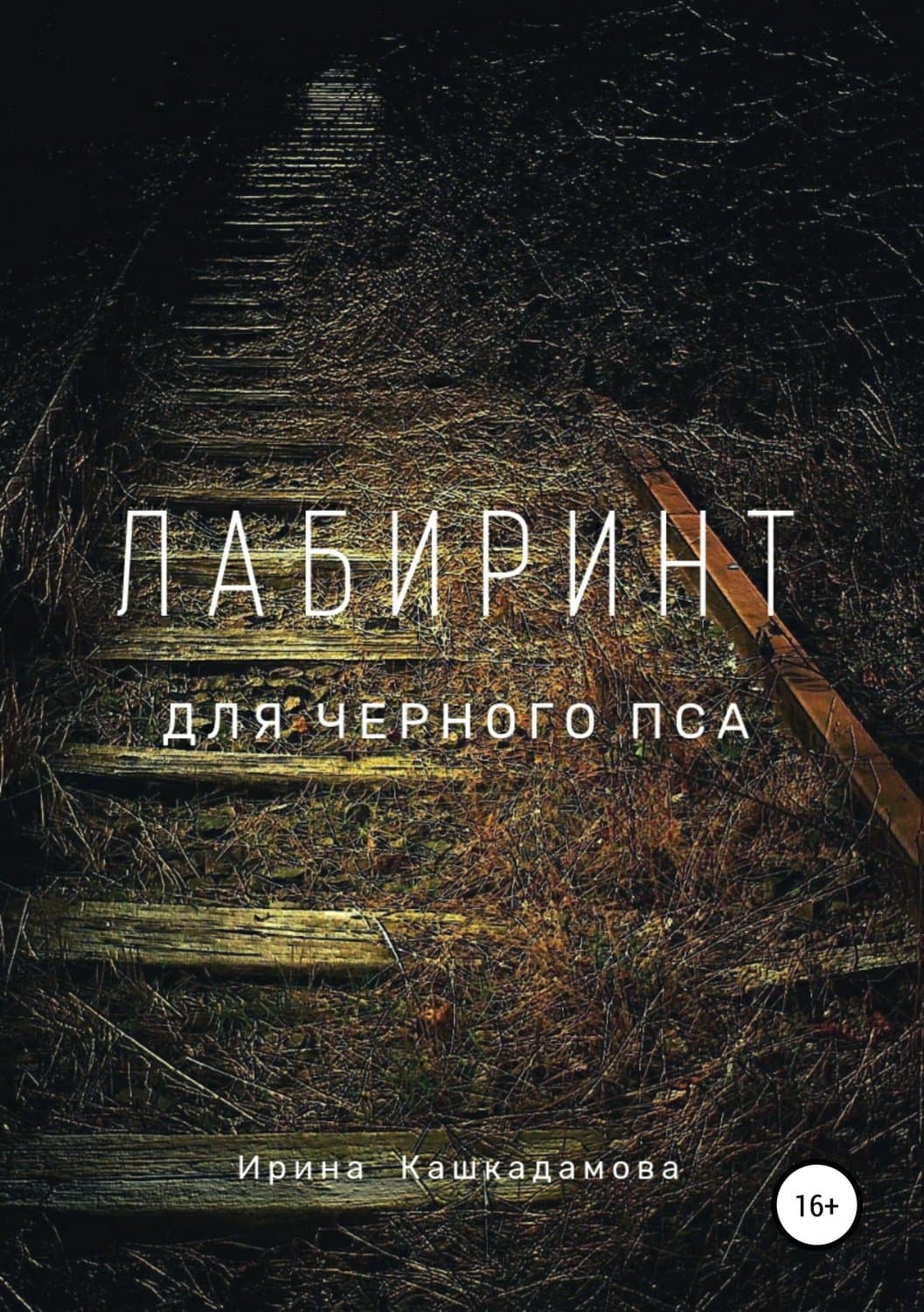 Обложка книги «Лабиринт для черного пса» — Ирина Кашкадамова, Ольга Примаченко