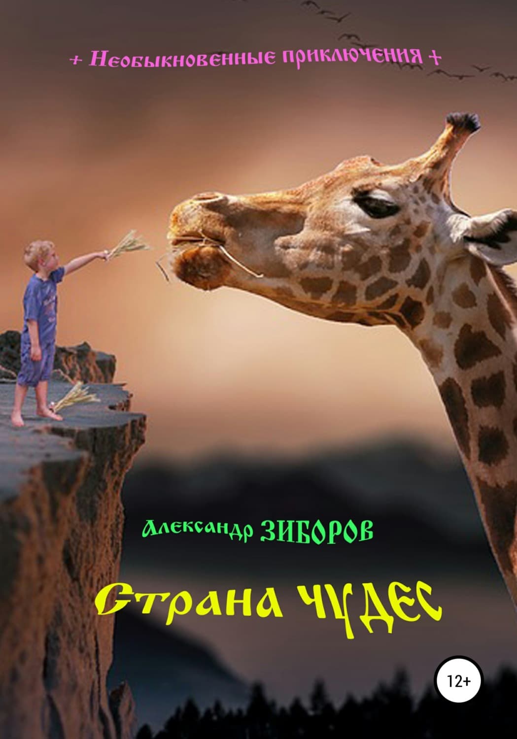 Обложка книги «Страна чудес» — С. М. Дробышевский, Александр Зиборов
