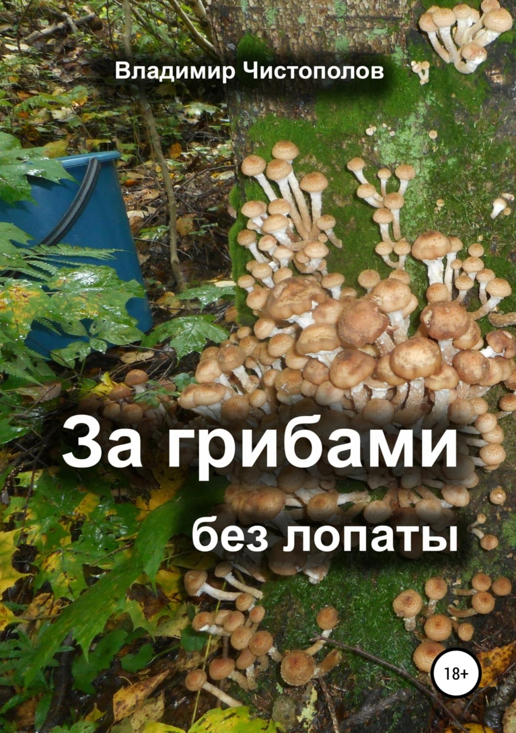 Обложка книги «За грибами без лопаты» — Владимир Чистополов