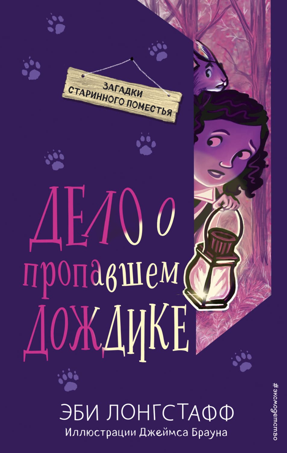 Обложка книги «Дело о пропавшем Дождике» — Эби Лонгстафф