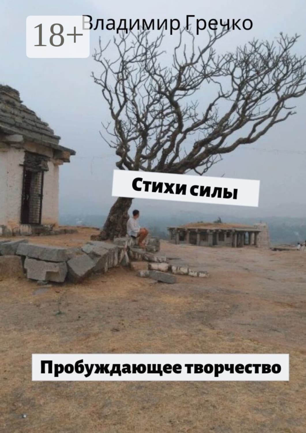 Обложка книги «Стихи силы. Пробуждающее творчество» — Владимир Гречко