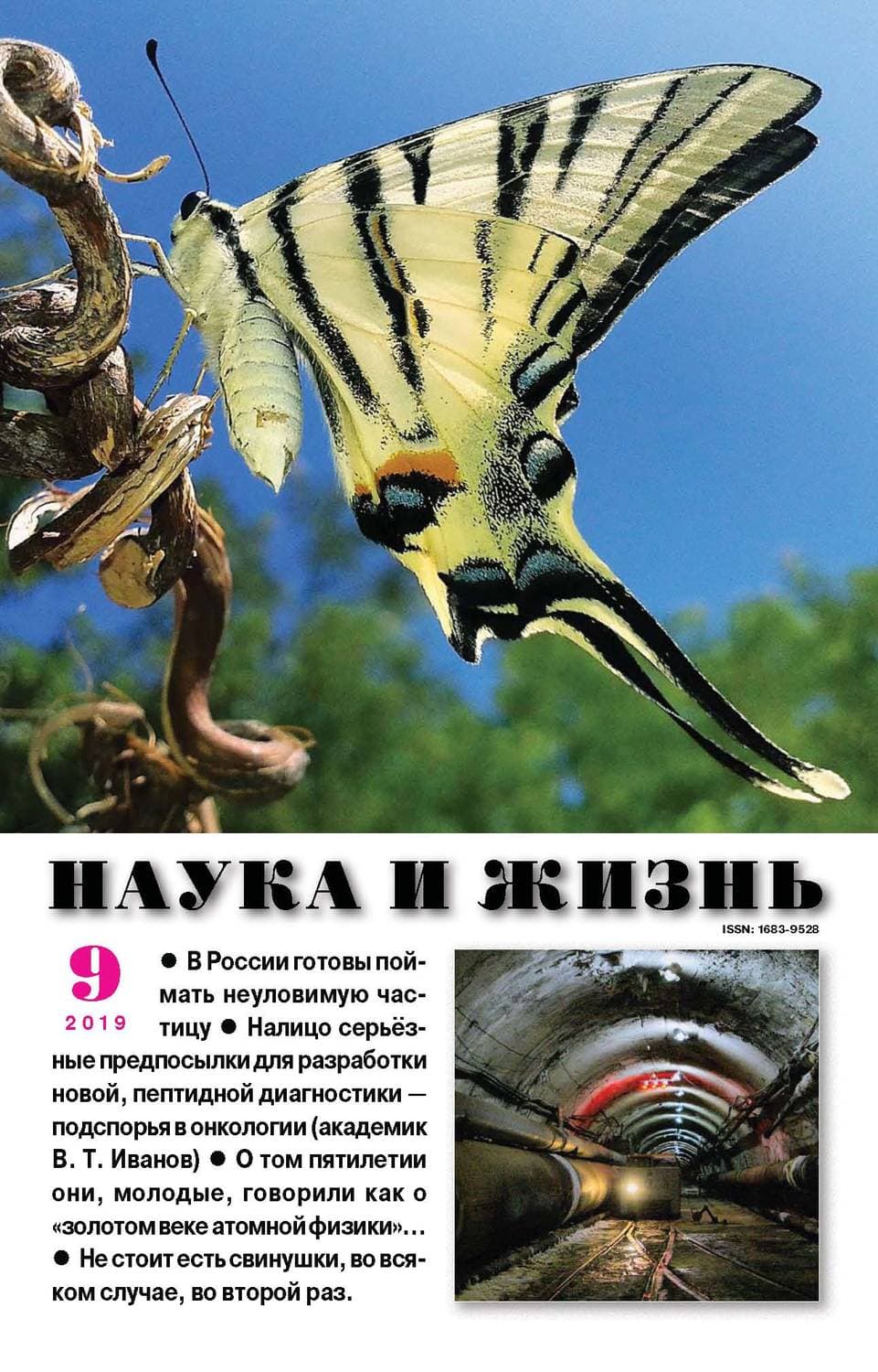 Обложка книги «Наука и жизнь №09/2019» — Лана Ежова