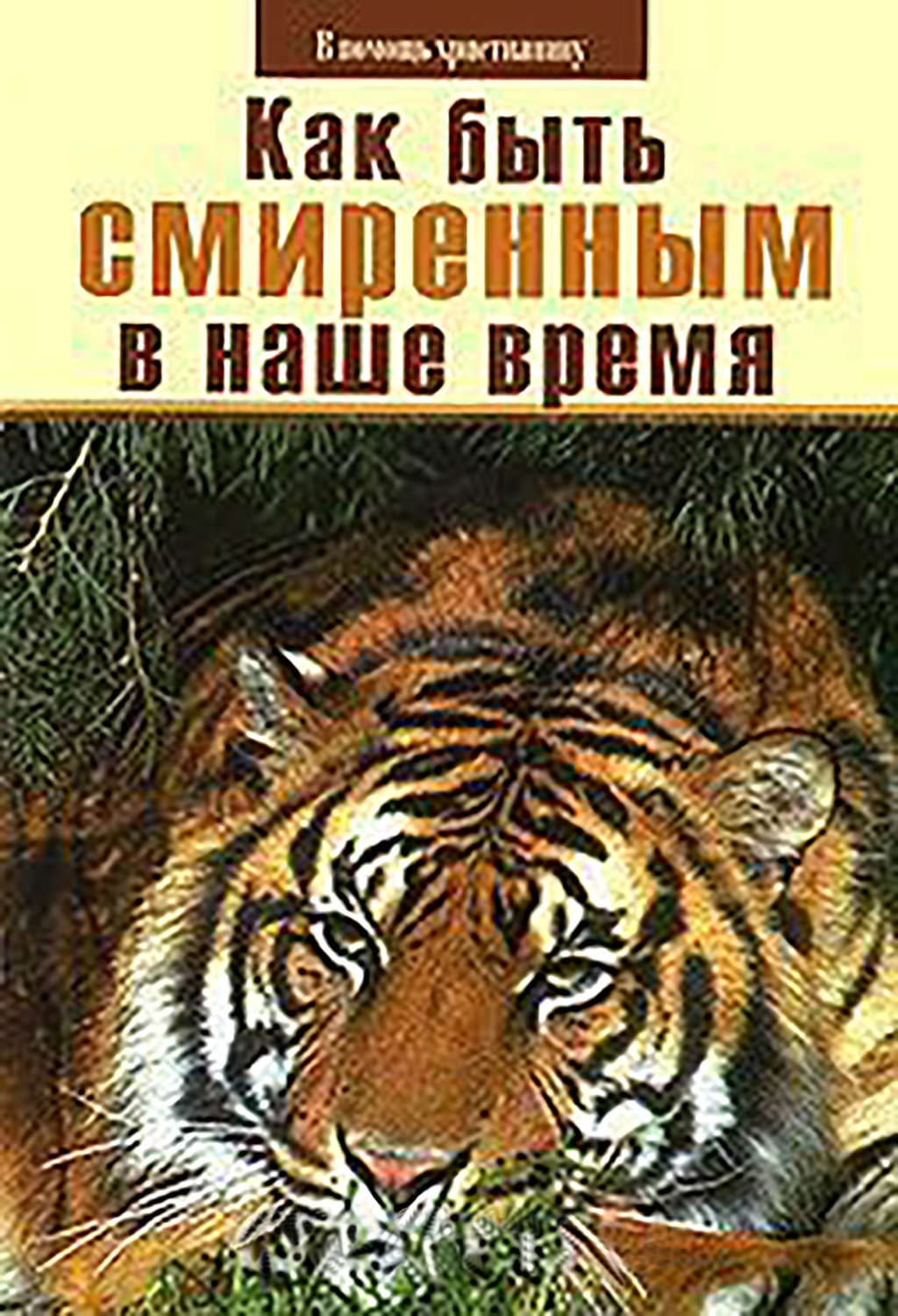 Обложка книги «Как быть смиренным в наше время?» — Николай Пестов