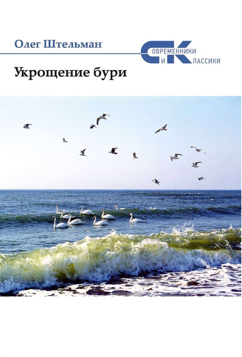 Обложка книги «Укрощение бури» — Протоиерей Олег Штельман
