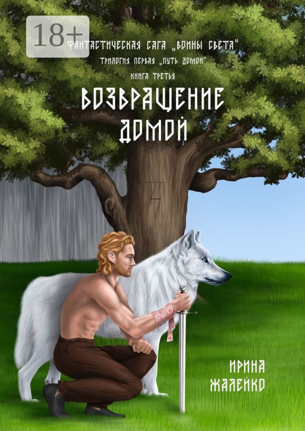 Обложка книги «Возвращение домой. Книга третья. Фантастическая сага «Воины света». Трилогия первая «Путь домой»» — Ирина Жалейко