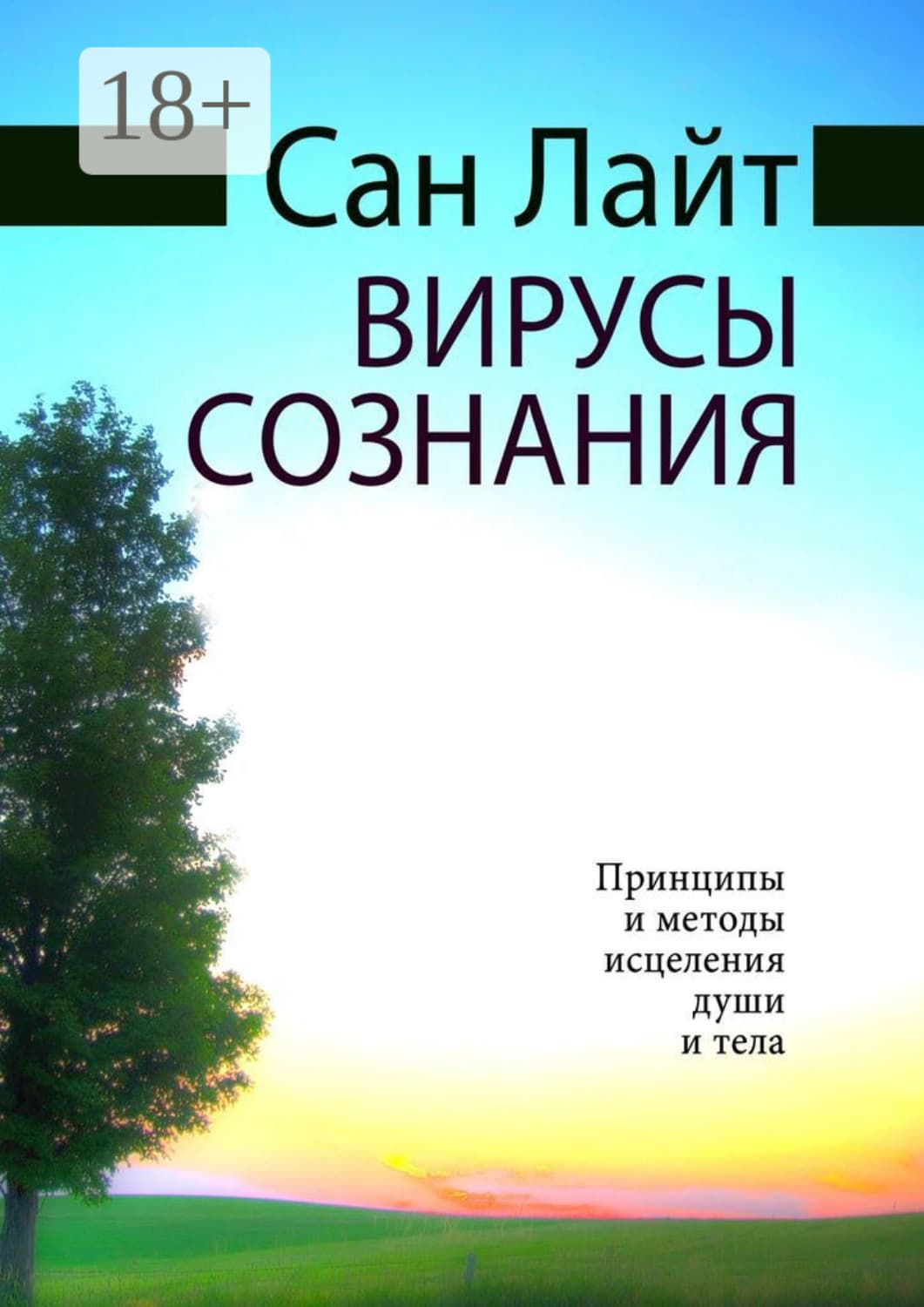Обложка книги «Вирусы сознания. Принципы и методы исцеления души и тела» — Сан Лайт