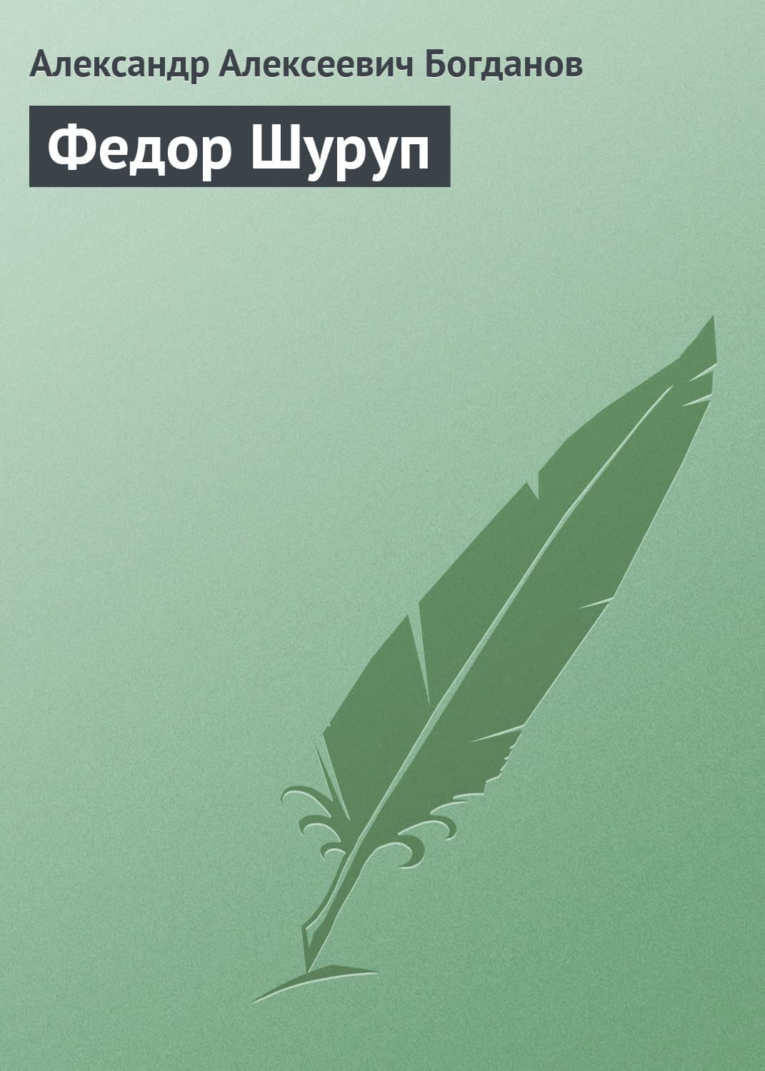 Обложка книги «Федор Шуруп» — Александр Богданов, Александра Белоусова